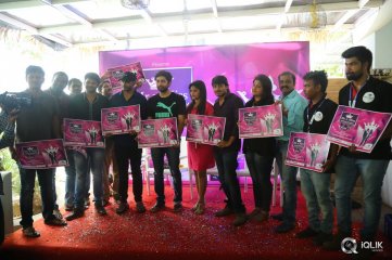 Mr n Miss Andhra Season 2 Poster Launch